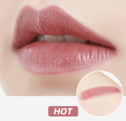 
                  
                    CEZANNE Lasting Lipstick Color N #102 Brown
                  
                